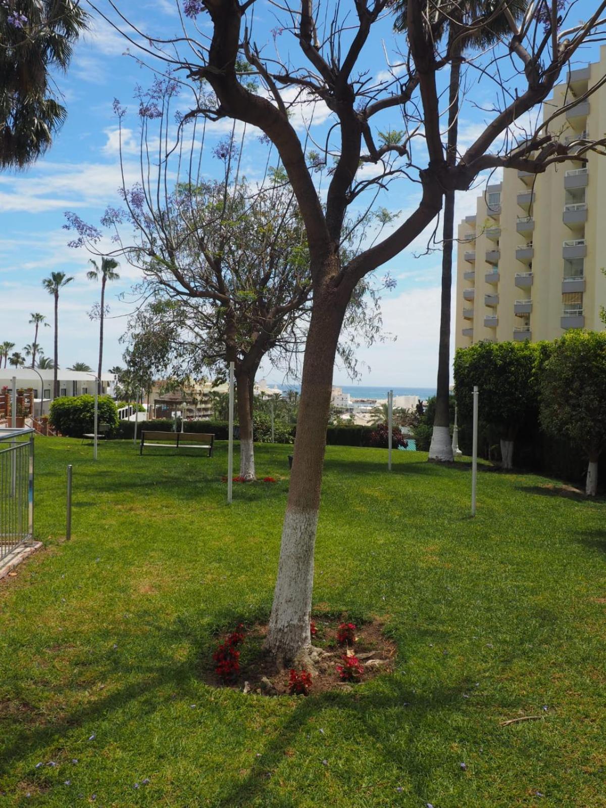 Apartment Puerto Marina-playa Malapesquera Benalmadena
